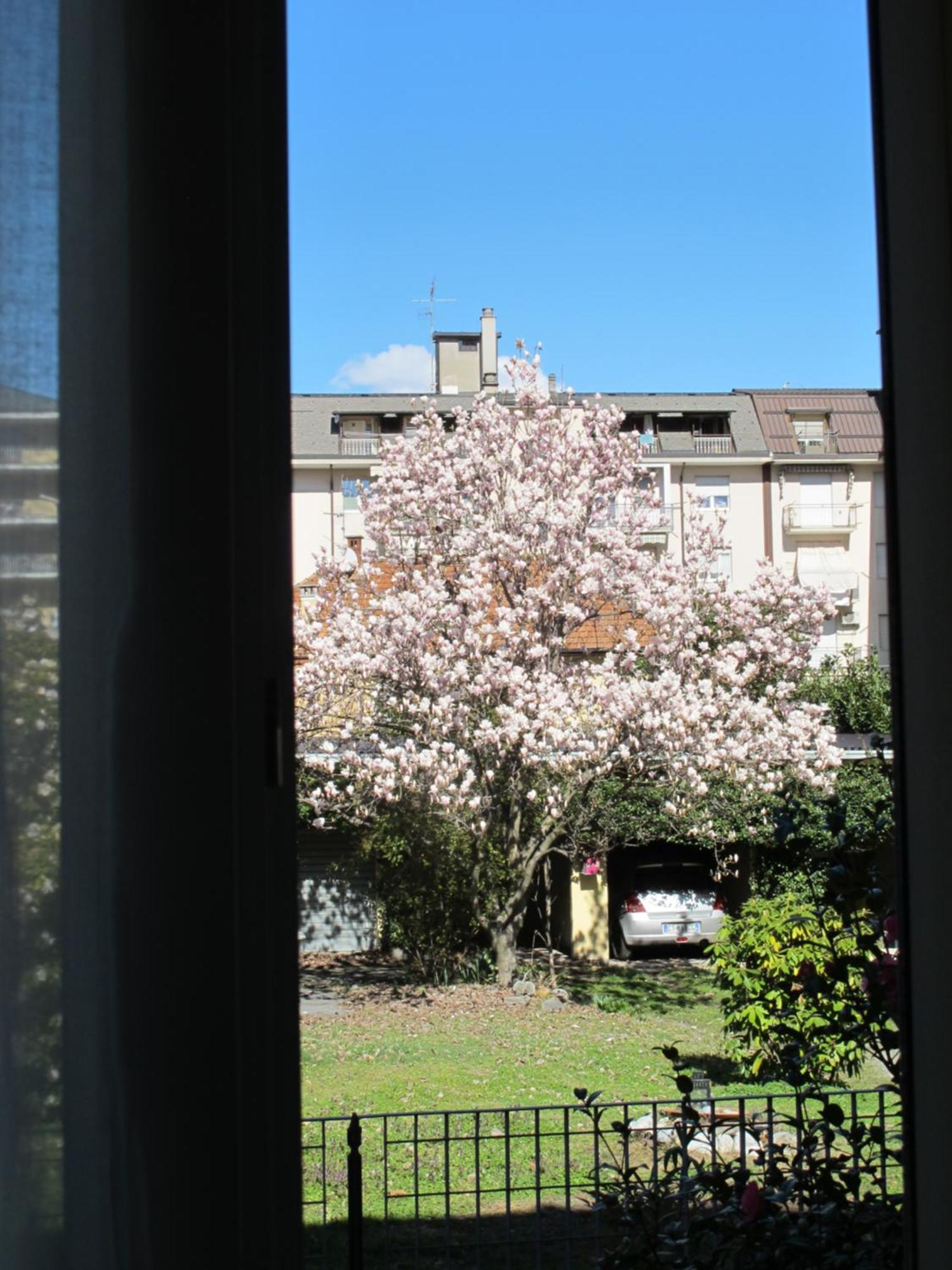 Apartamento Domus Mea Domodossola Exterior foto
